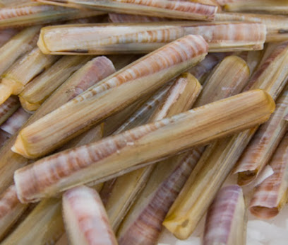 Πετροσωλινες ΚΤΨ Παστεριωμενοι 250g