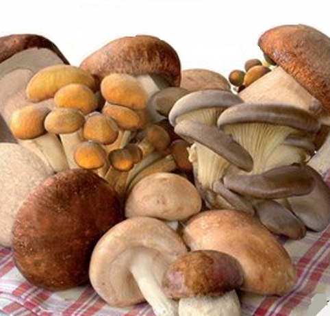 Κατεψυγμένα Μικτά Μανιτάρια με Porcini 1,0 kg