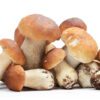 Porcini Κατεψυγμένα ολόκληρα μανιτάρια 1,0 kg.