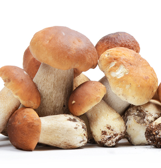 Porcini Κατεψυγμένα ολόκληρα μανιτάρια 1,0 kg.